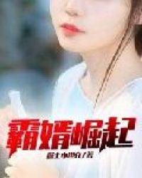 热门上门龙婿叶辰
