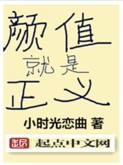 颜值就是正义TXT
