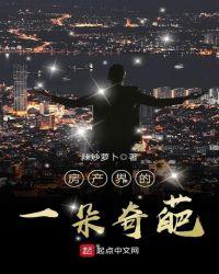 房地产界的白衣骑士