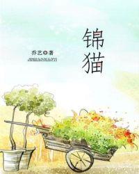 锦猫卫适合几年级孩子