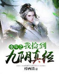 重生四合院之九阴真经