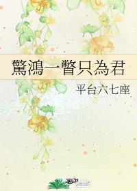 惊鸿一瞥吧