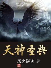 天神圣典本本石
