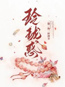 误入玲珑帐TXT
