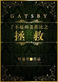 了不起的盖茨比book report