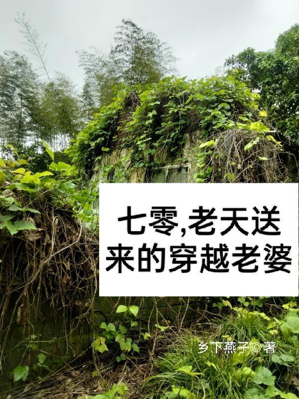 老天送来的穿越老婆 乡下燕子
