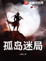 孤岛迷局攻略图解详细图文详解