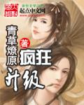 疯狂升级系统免费阅读笔趣阁