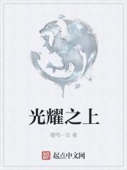 光耀之城的梗概